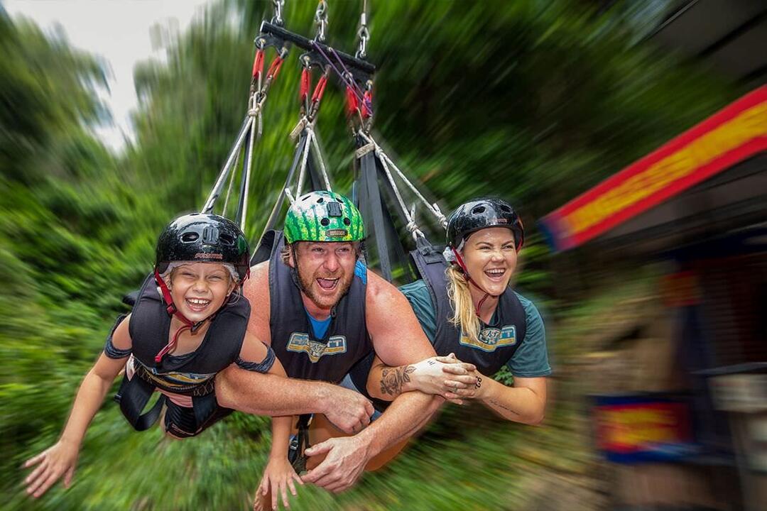 Giant Jungle Swing, Family Gift Voucher - Cairns QLD