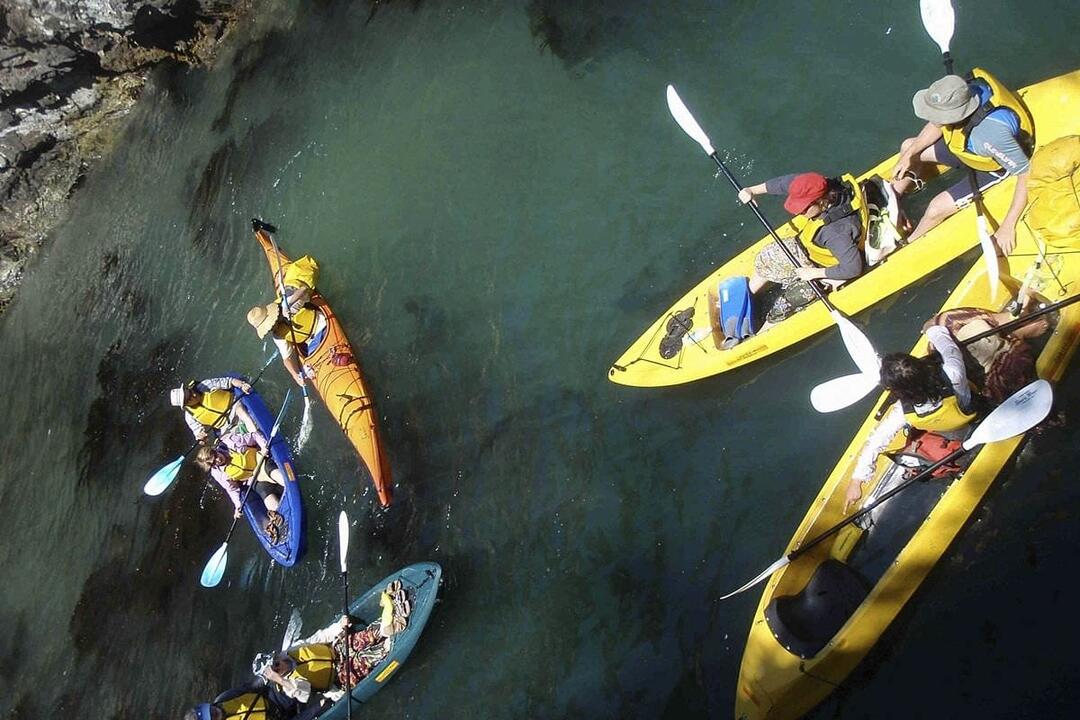 Glass-Bottom Kayak Tour - Gift Voucher or Instant Booking - Batemans Bay NSW