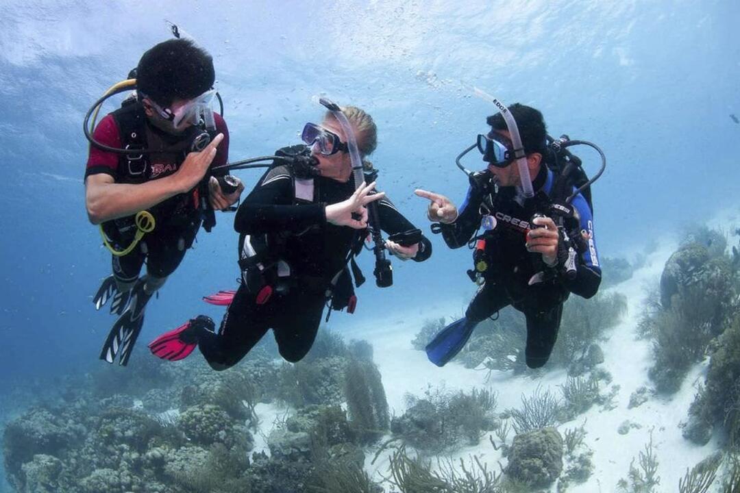 PADI Open Water Course, Gold Coast - Gift Voucher or Instant Booking - Main Beach QLD