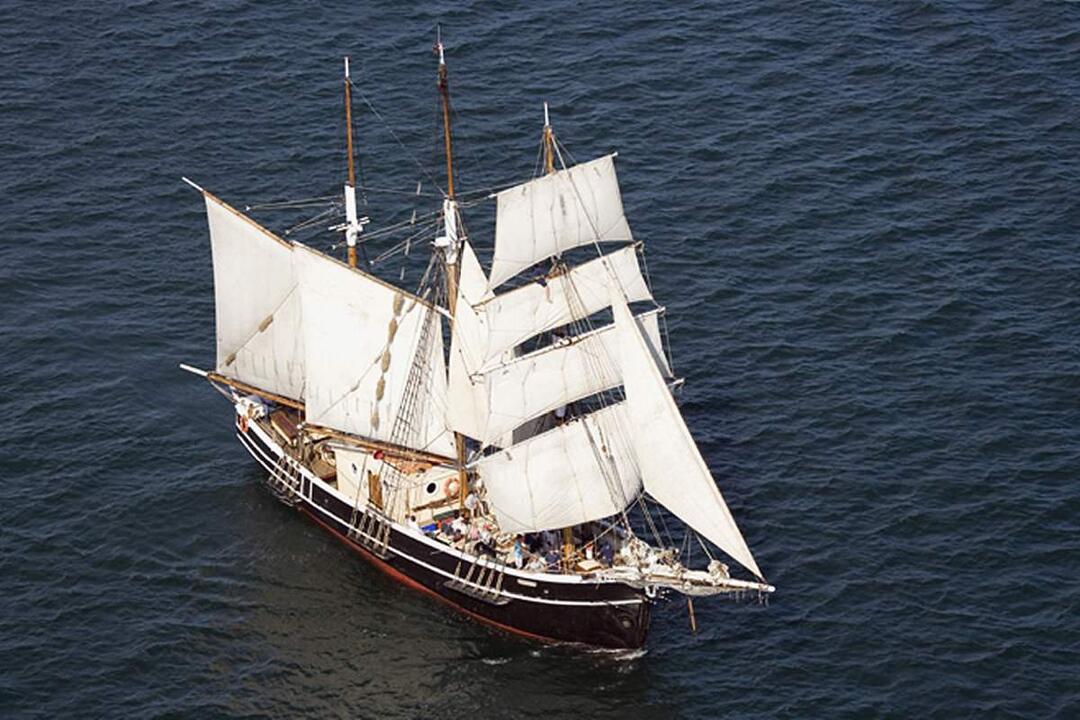 Tall Ship Afternoon Discovery Cruise - Gift Voucher or Instant Booking - Sydney NSW