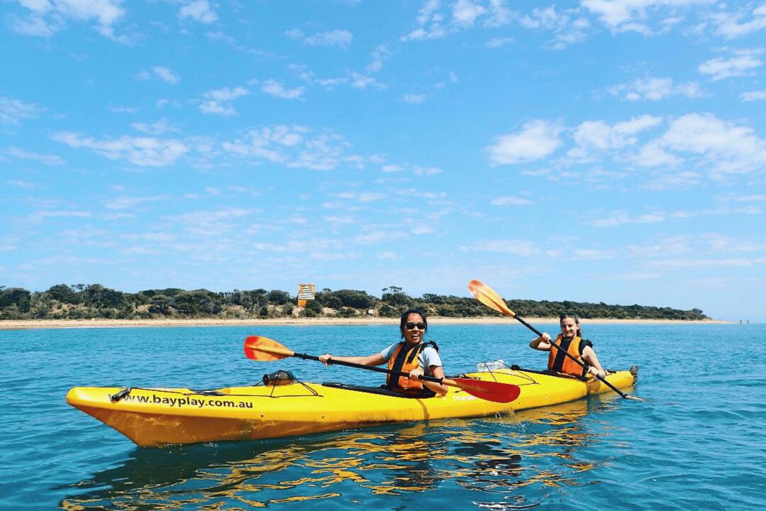 Dolphin Sanctuary Sea Kayak Tour Instant Booking - Portsea VIC