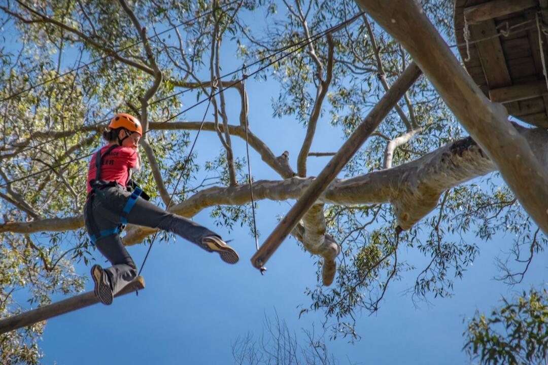 Treetops Ropes Course Gift Voucher - Abbotsbury NSW