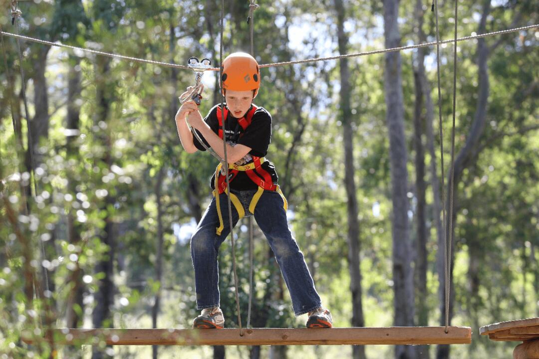 Treetops Ropes Course Abbotsbury NSW