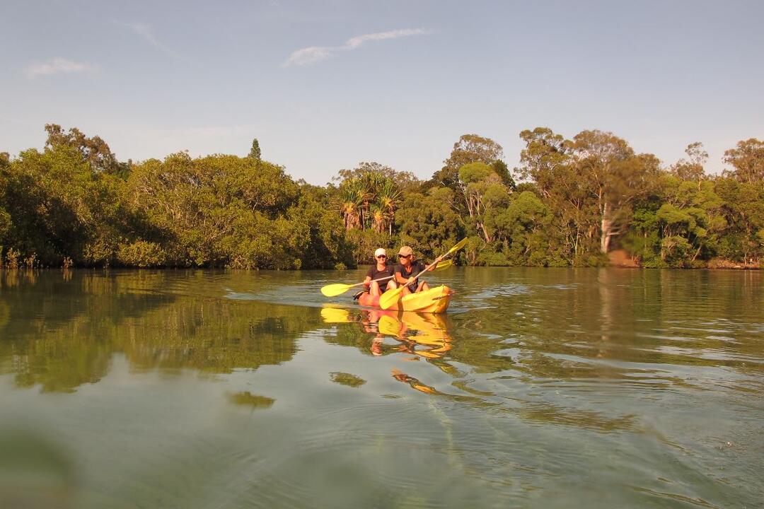 Sunset Kayaking, Brunswick River Nature Tour - Gift Voucher or Instant Booking - Brunswick Heads NSW