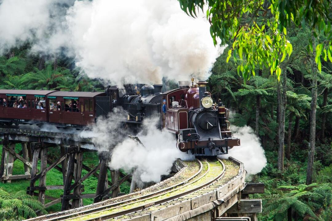 Puffing Billy And Penguin Parade Tour - Gift Voucher or Instant Booking - Summerlands VIC