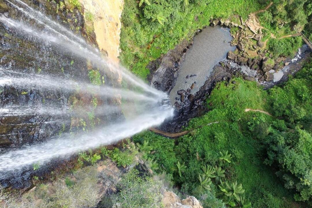Natural Bridge and Waterfalls Tour - Gift Voucher or Instant Booking - Surfers Paradise QLD