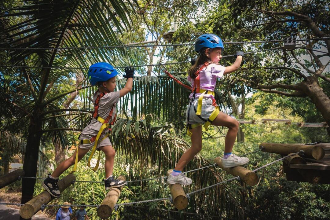 Junior Tree Ropes Course St Ives NSW