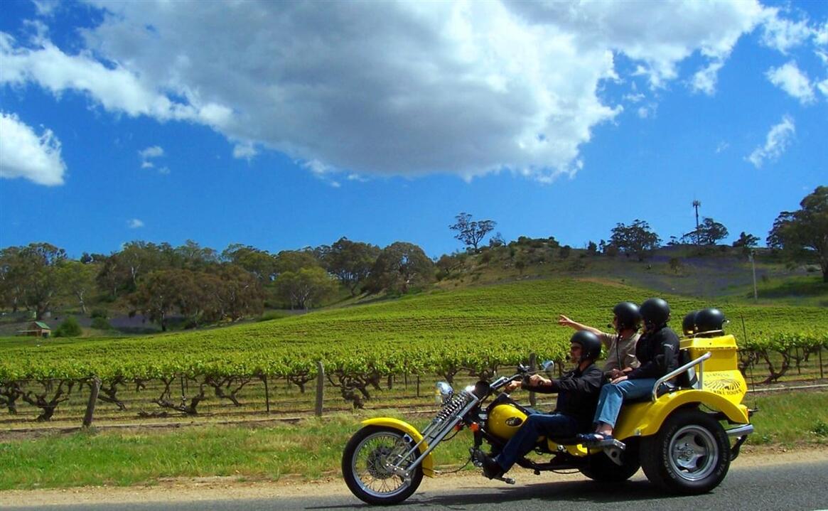 Trike Through Barossa Bliss Instant Booking - Nuriootpa SA