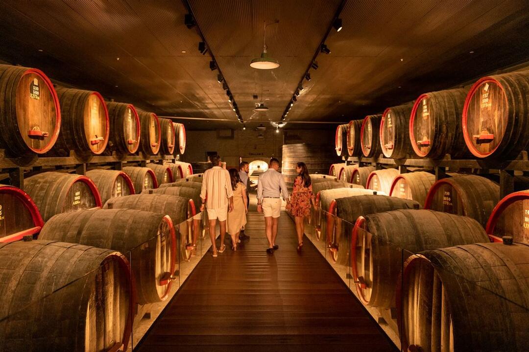 Penfolds Platinum Grange Experience Magill SA