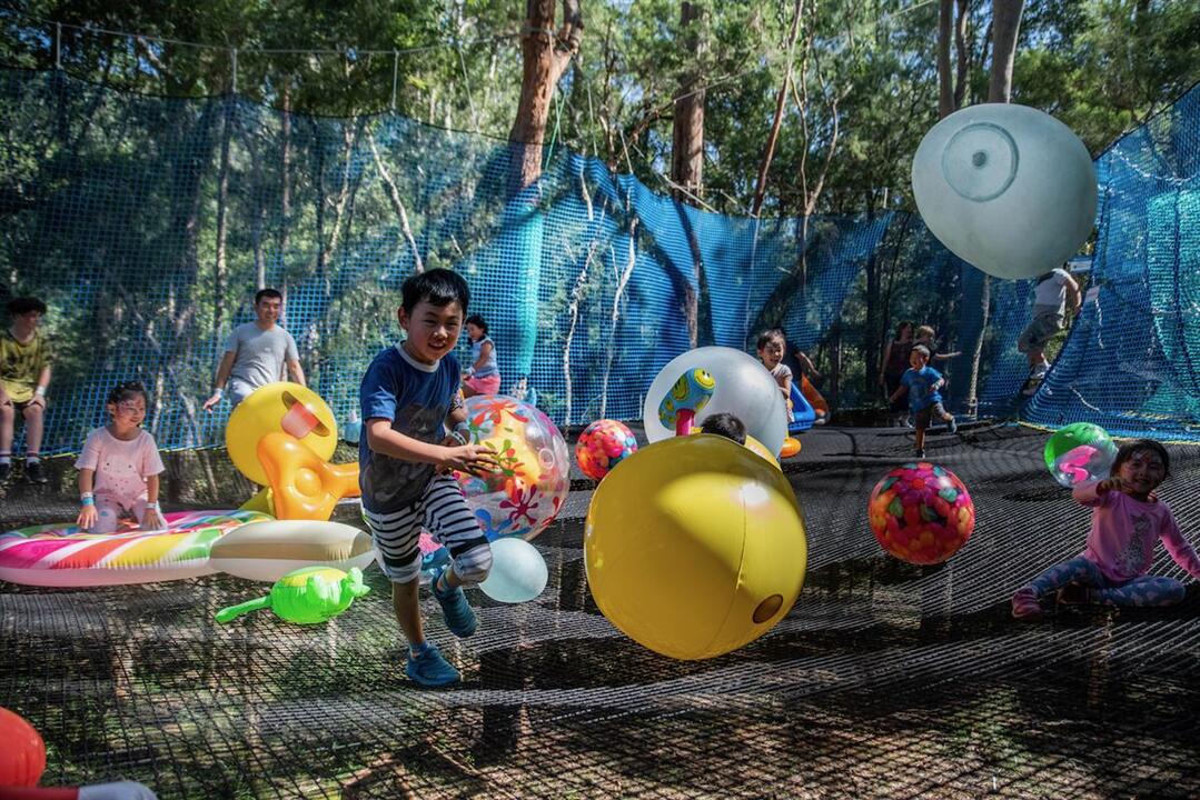 Bounce Through NetWorld Wyong Creek NSW