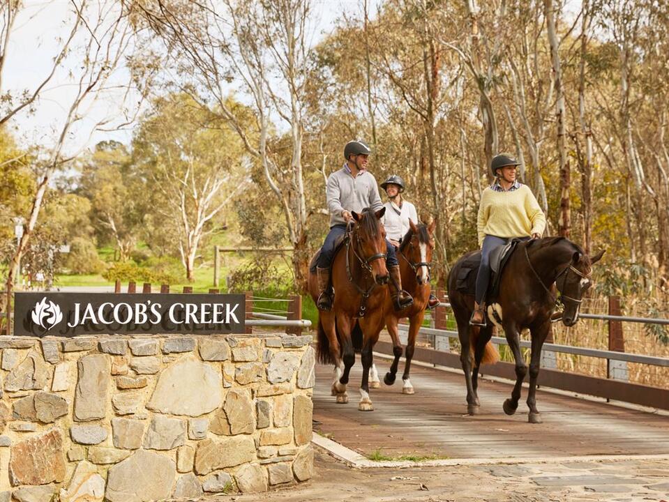 Vineyard Horse Ride and Romantic Picnic Instant Booking - Rowland Flat SA