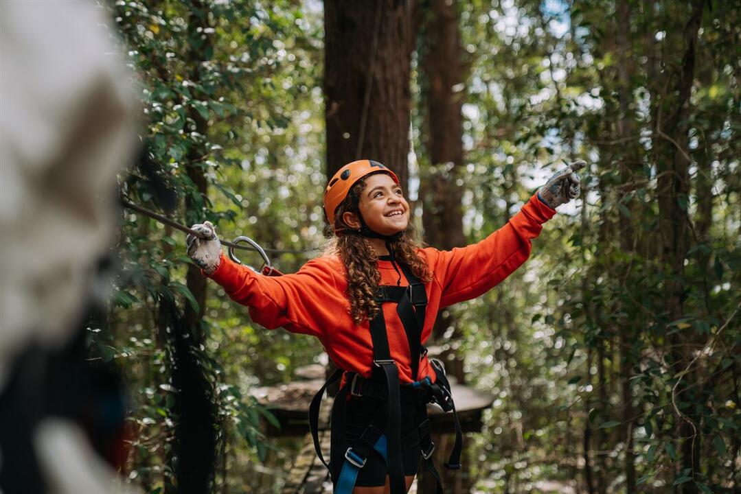 Tree Ropes Standard Session & Zipline Express - Gift Voucher or Instant Booking - Wyong Creek NSW