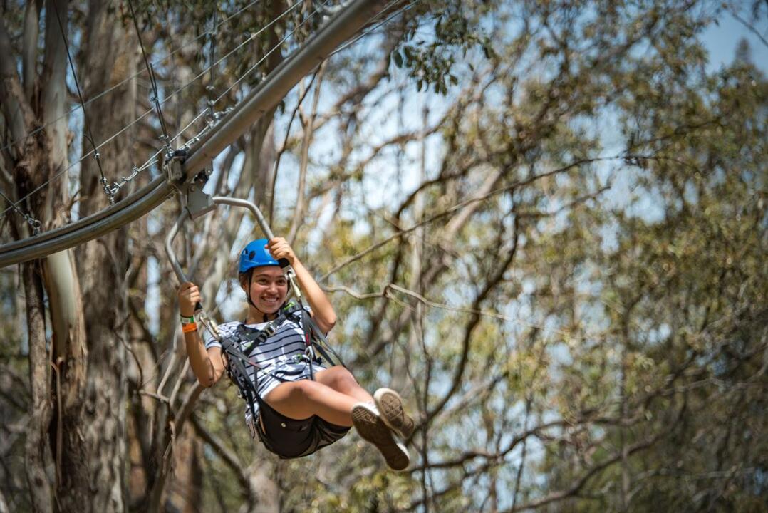 Zipcoaster Adventure Ride - Gift Voucher or Instant Booking - Wyong Creek NSW
