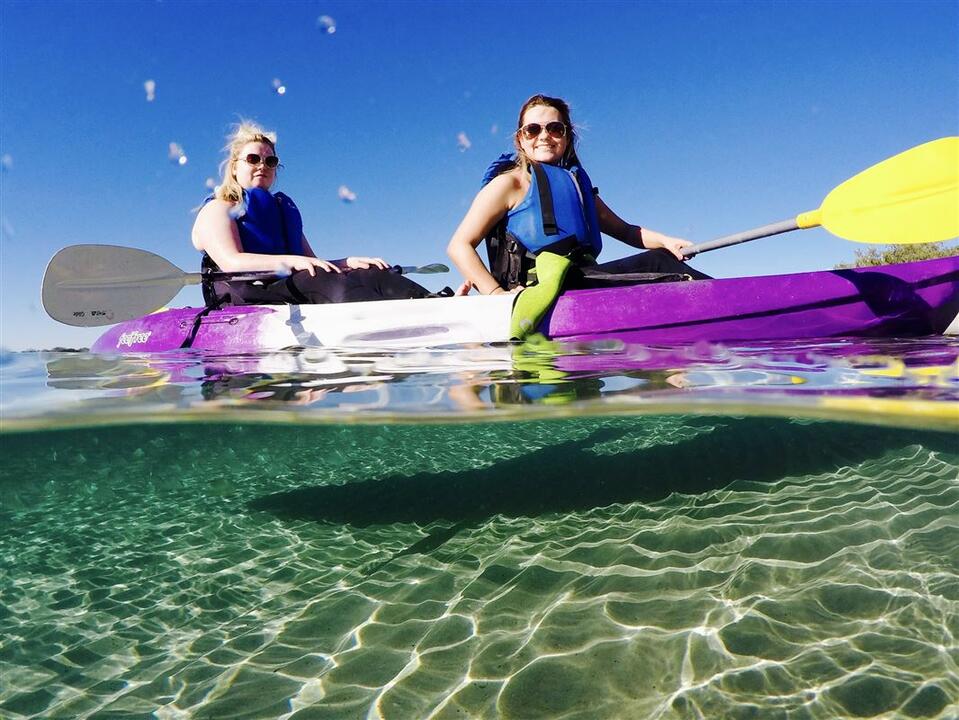 Broadwater Dolphin Kayak Tour, 2 Hours - Gift Voucher or Instant Booking - Gold Coast QLD