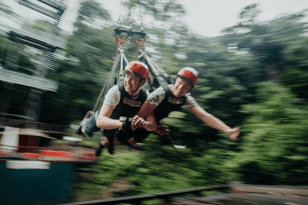 Giant Jungle Swing Gift Voucher - Cairns QLD