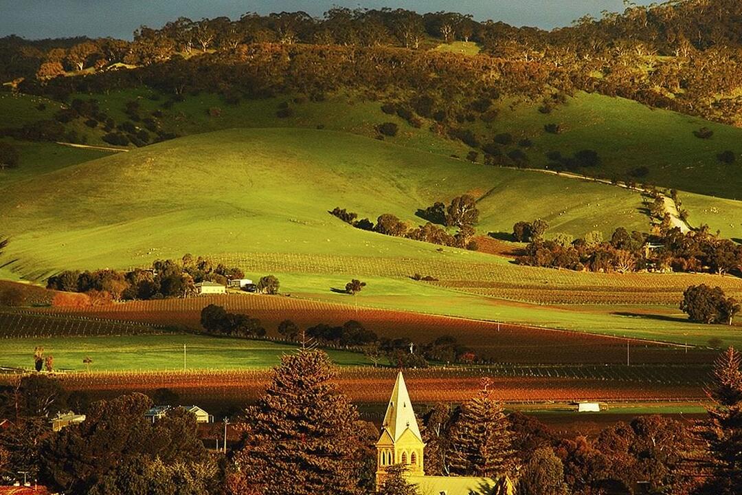 Barossa Valley Half Day Tour for Two Tanunda SA