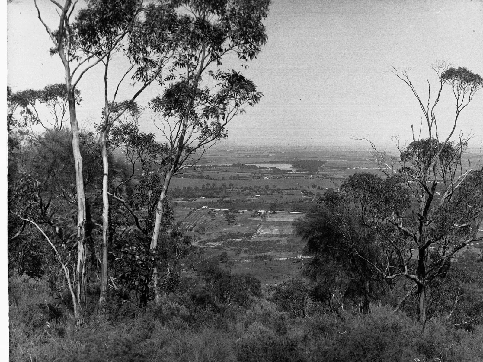 Not "View of Mount Lofty Ranges" Index 432A says: Adelaide Plains Showing Hope Valley Reservoir, 23-11-1923. (G Brooks) - Title and date amended to reflect G Brooks' notes
