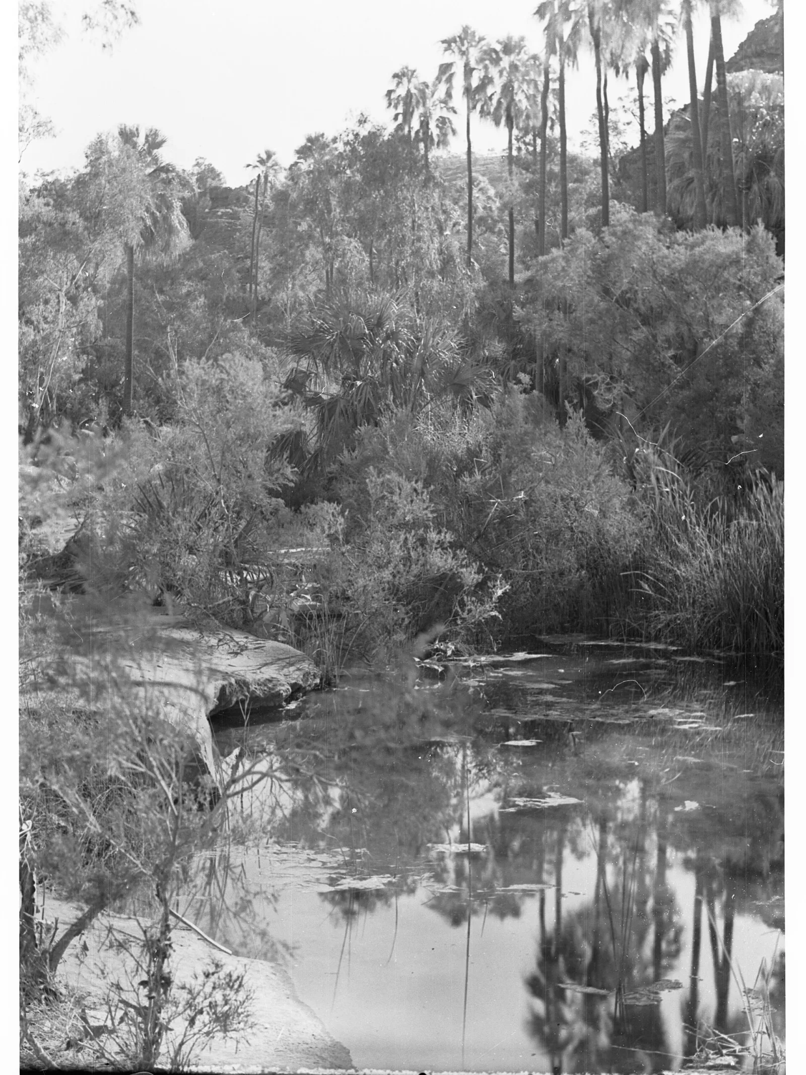 Finke Gorge National Park