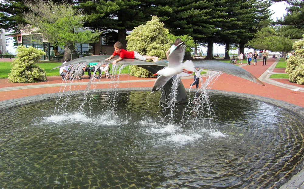 Fleurieu Peninsula