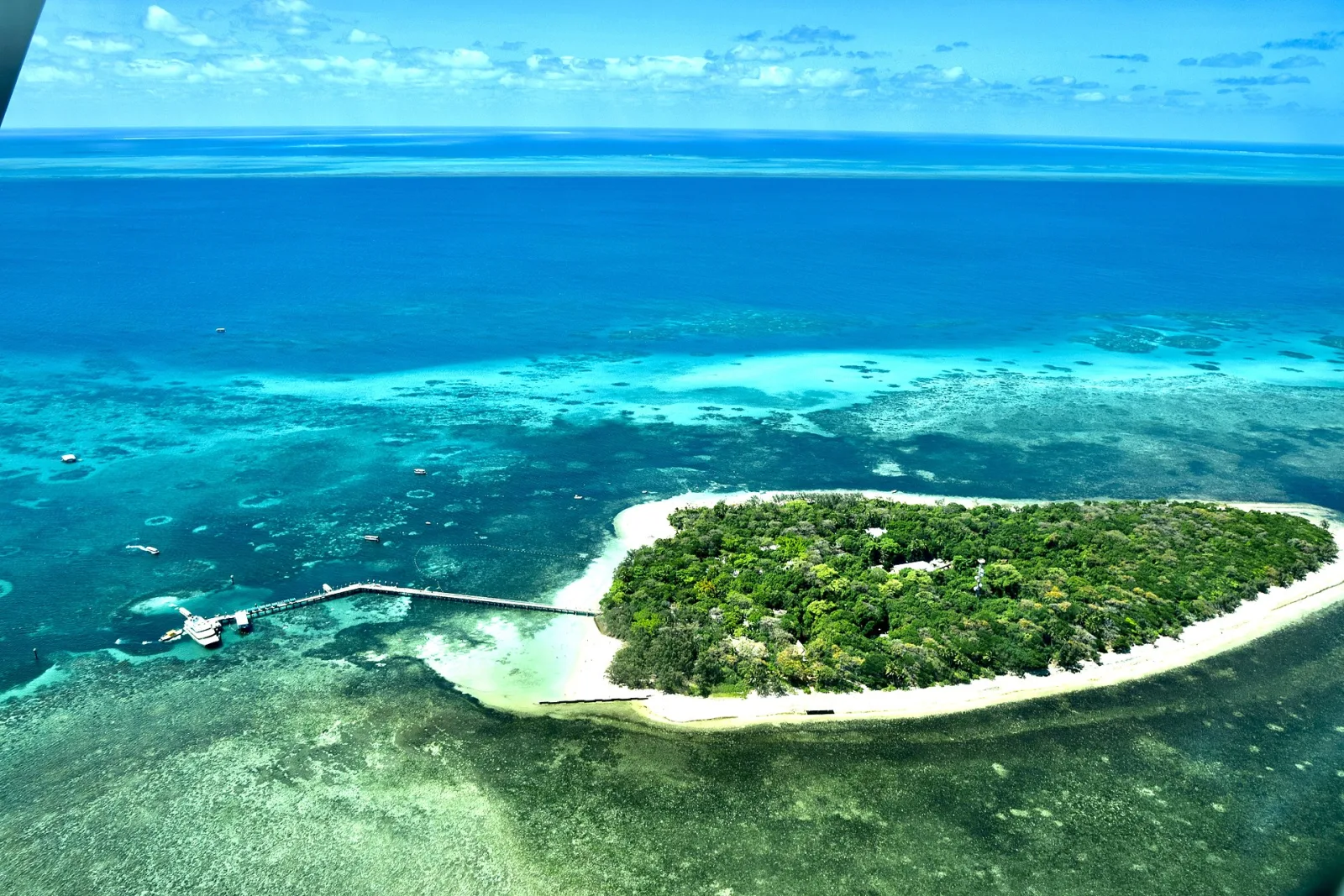 Great Barrier Reef off Cairns coast