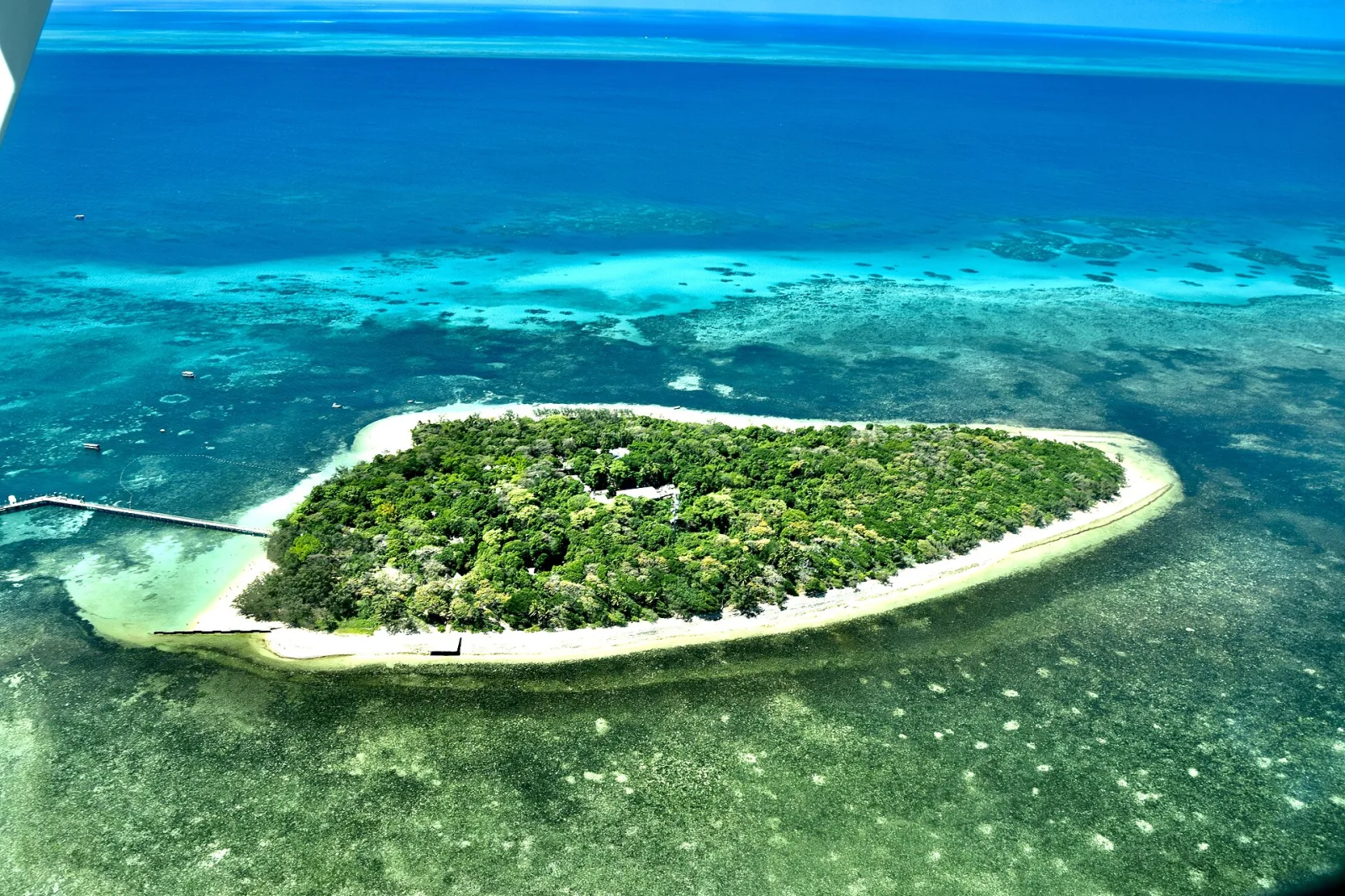 Great Barrier Reef off Cairns coast