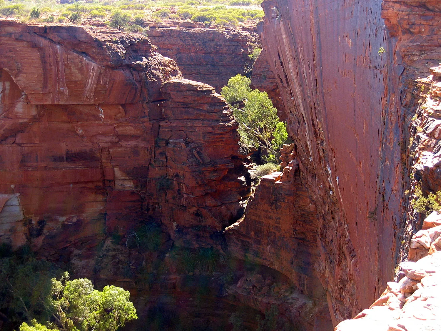 Kings Canyon Gorge, Watarrka National Park, Northern Territory, Australia
