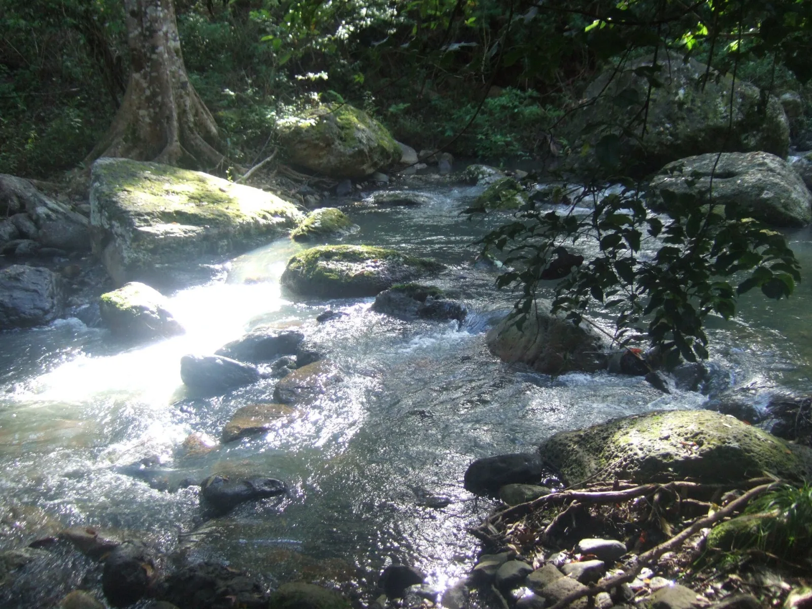 Lamington National Park