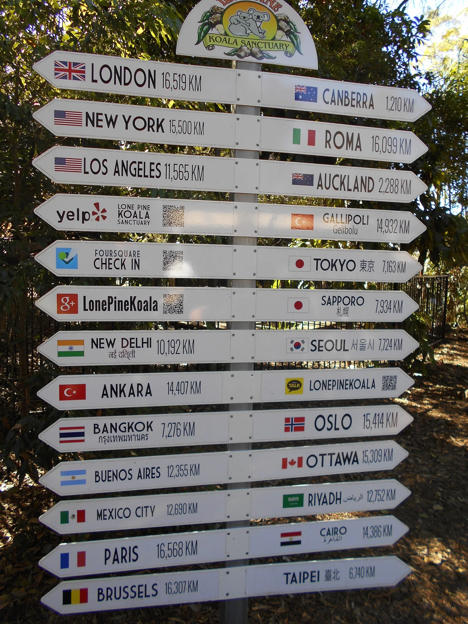 Lone Pine Koala Sanctuary