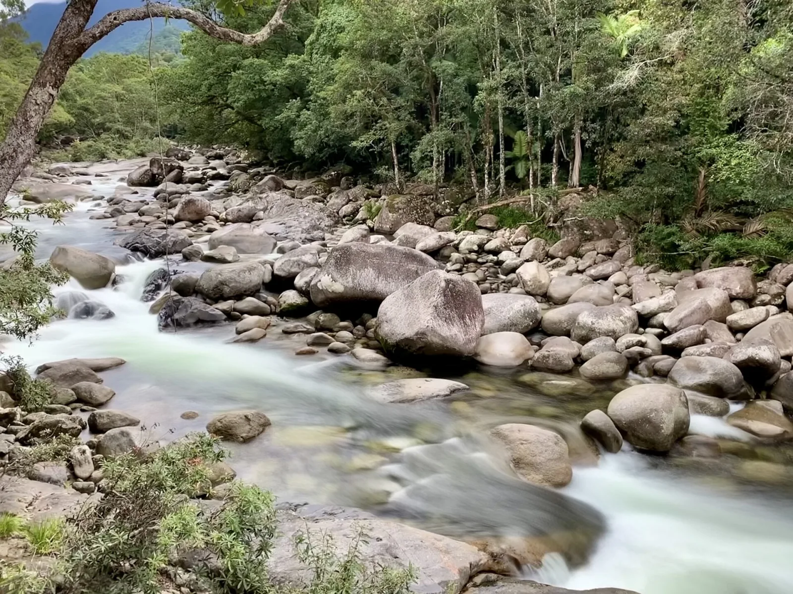 Mossman Gorge, Queensland, July 2020