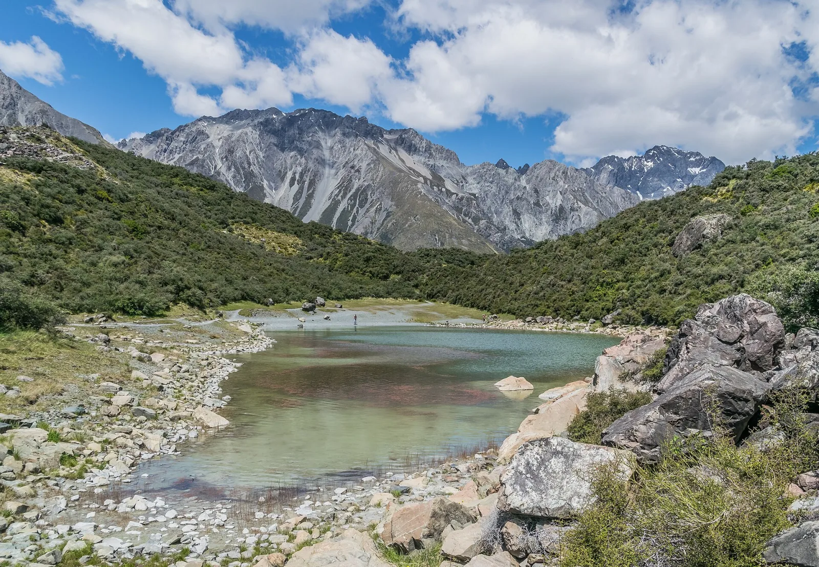 Mount Field National Park