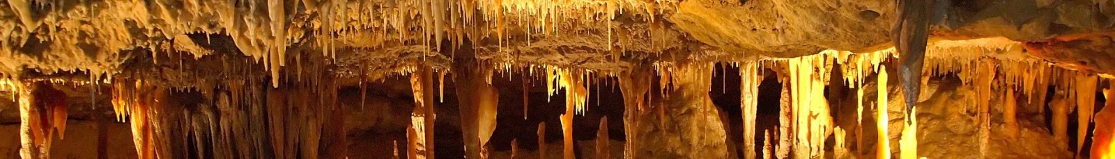 Naracoorte Caves
