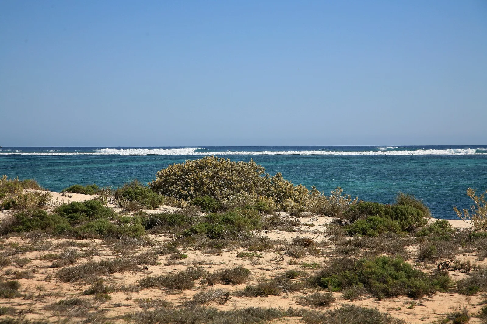 Ningaloo Reef, an approx. 250 km long coral reef on the west coast of Australia along the "Coral Coast. A special feature: The reef is usually only about 100 meters from the beach, so that it is easily accessible for swimmers, divers and snorkelers. The Ningaloo Reff is a UNESCO Heritage Site.