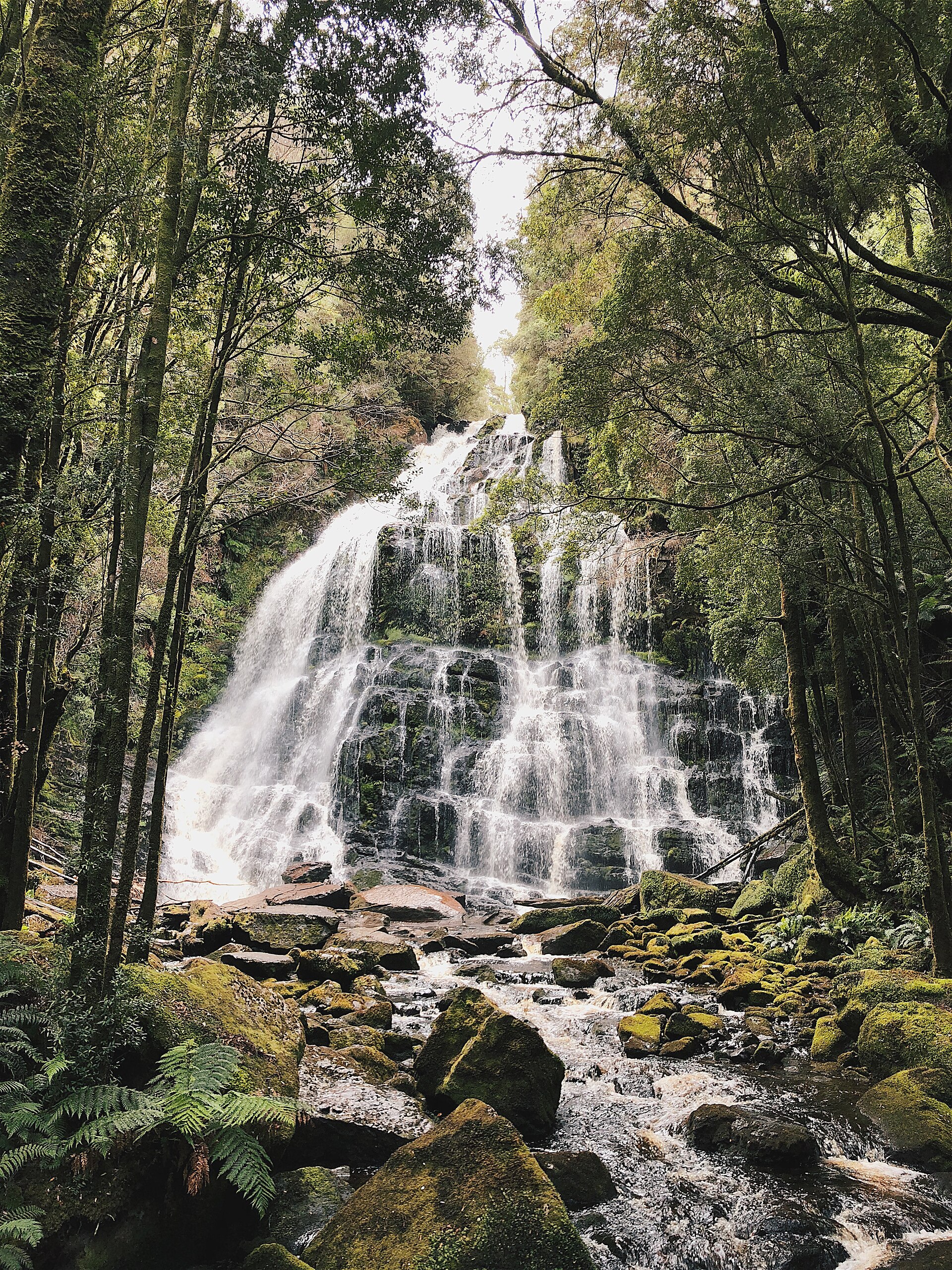 iPhone shot of Russell Falls in Tasmania, Australia