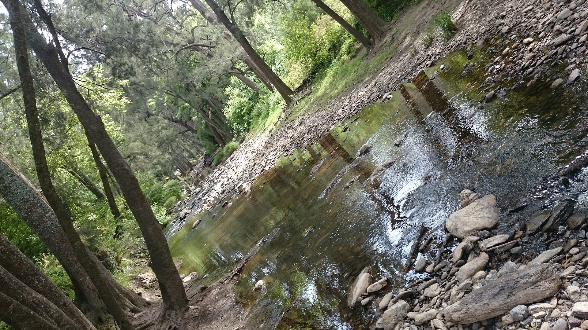 Creek in Wollemi national Park NSW