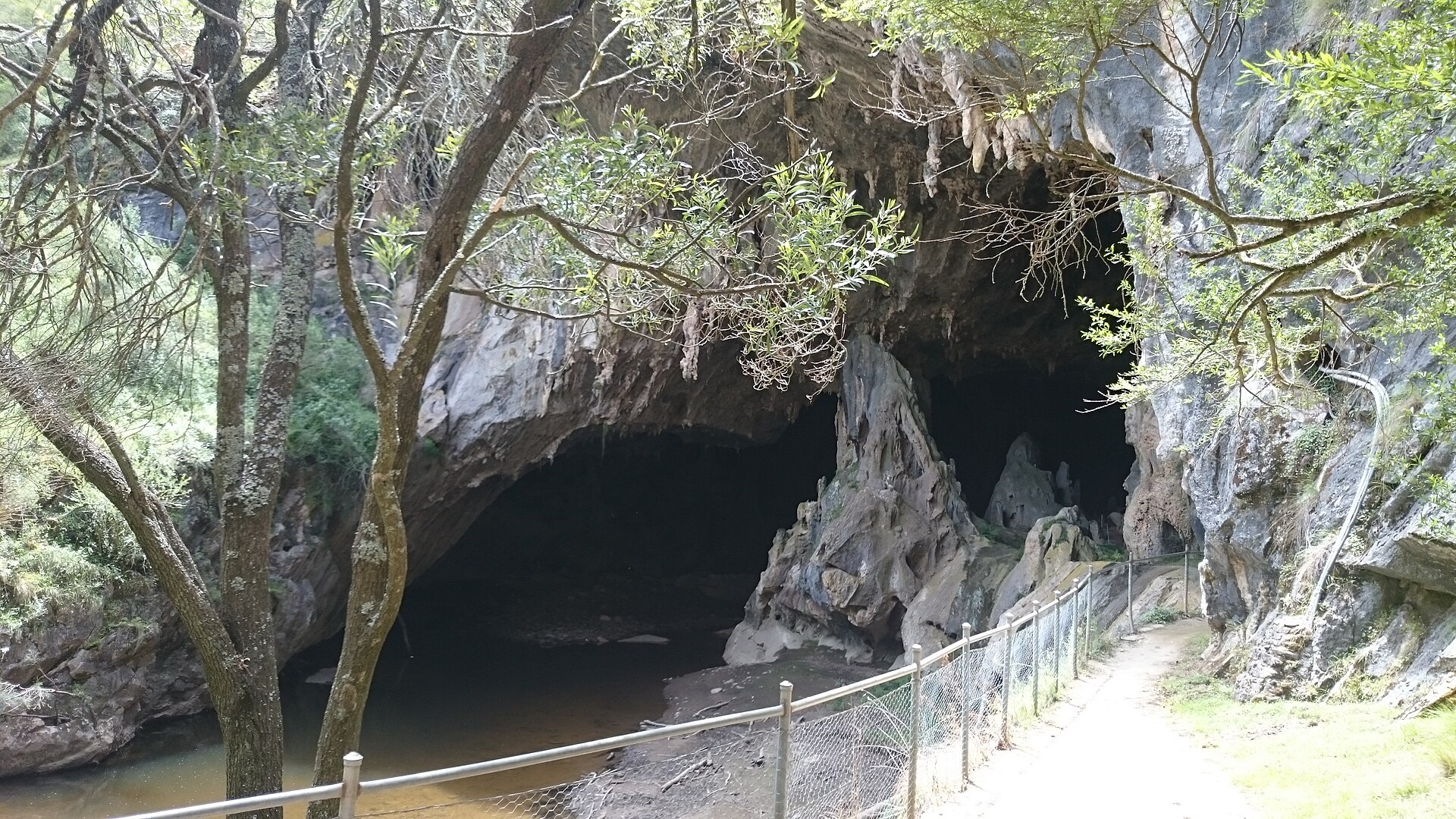 Creek in Wollemi national Park NSW