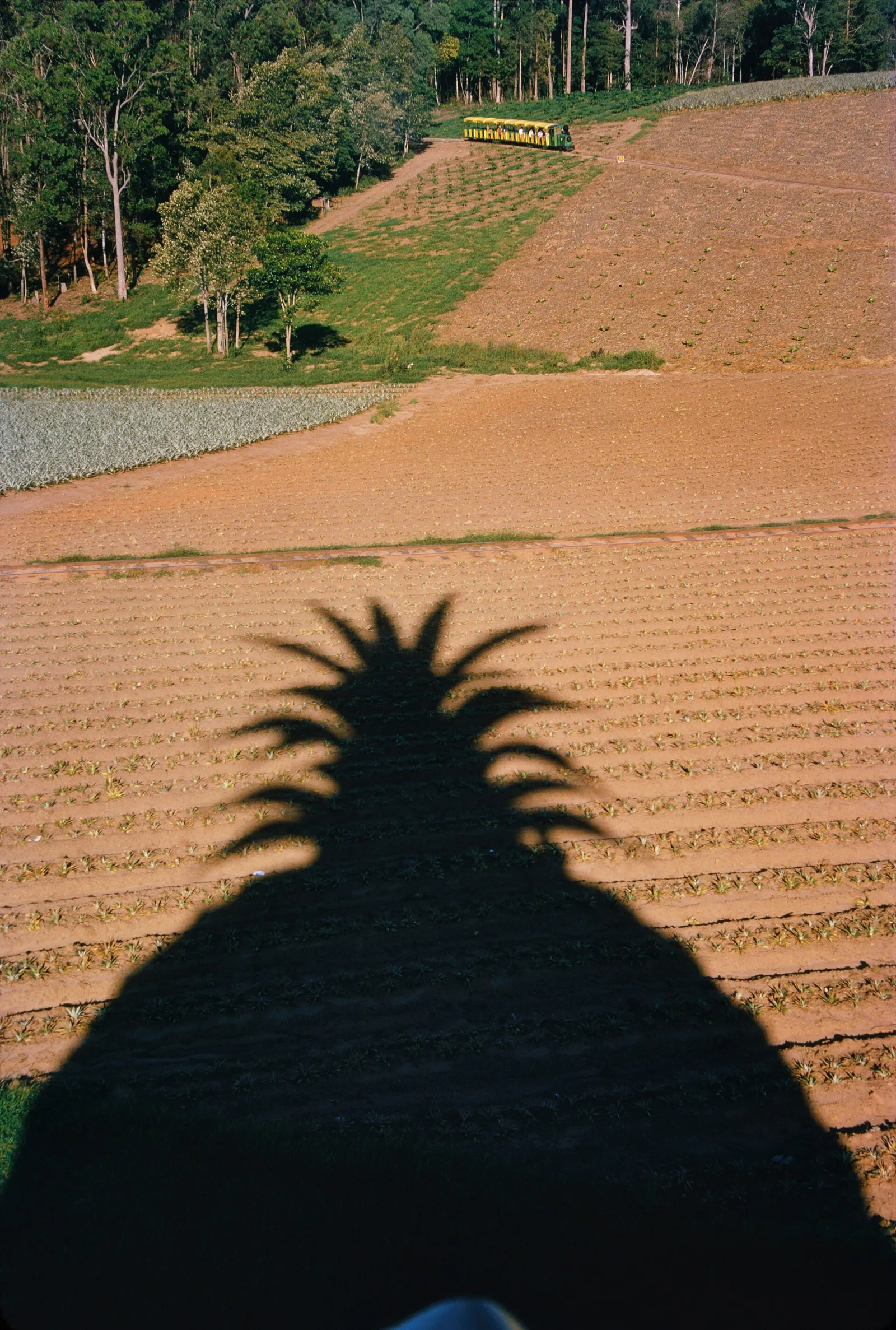 Woombye